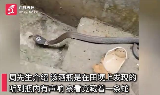 裁剪旋转 (1).jpeg