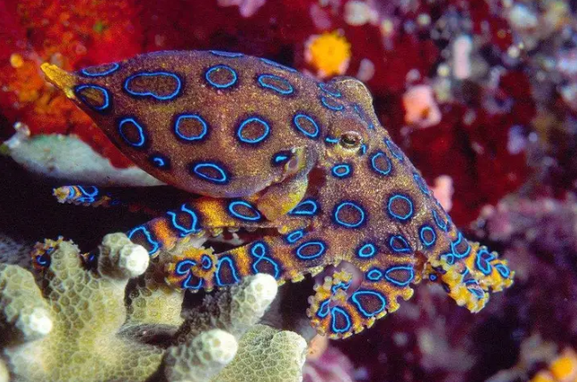 20251025233717.png 2.png