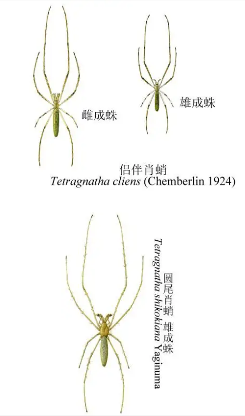 20251025233757.png 4.png